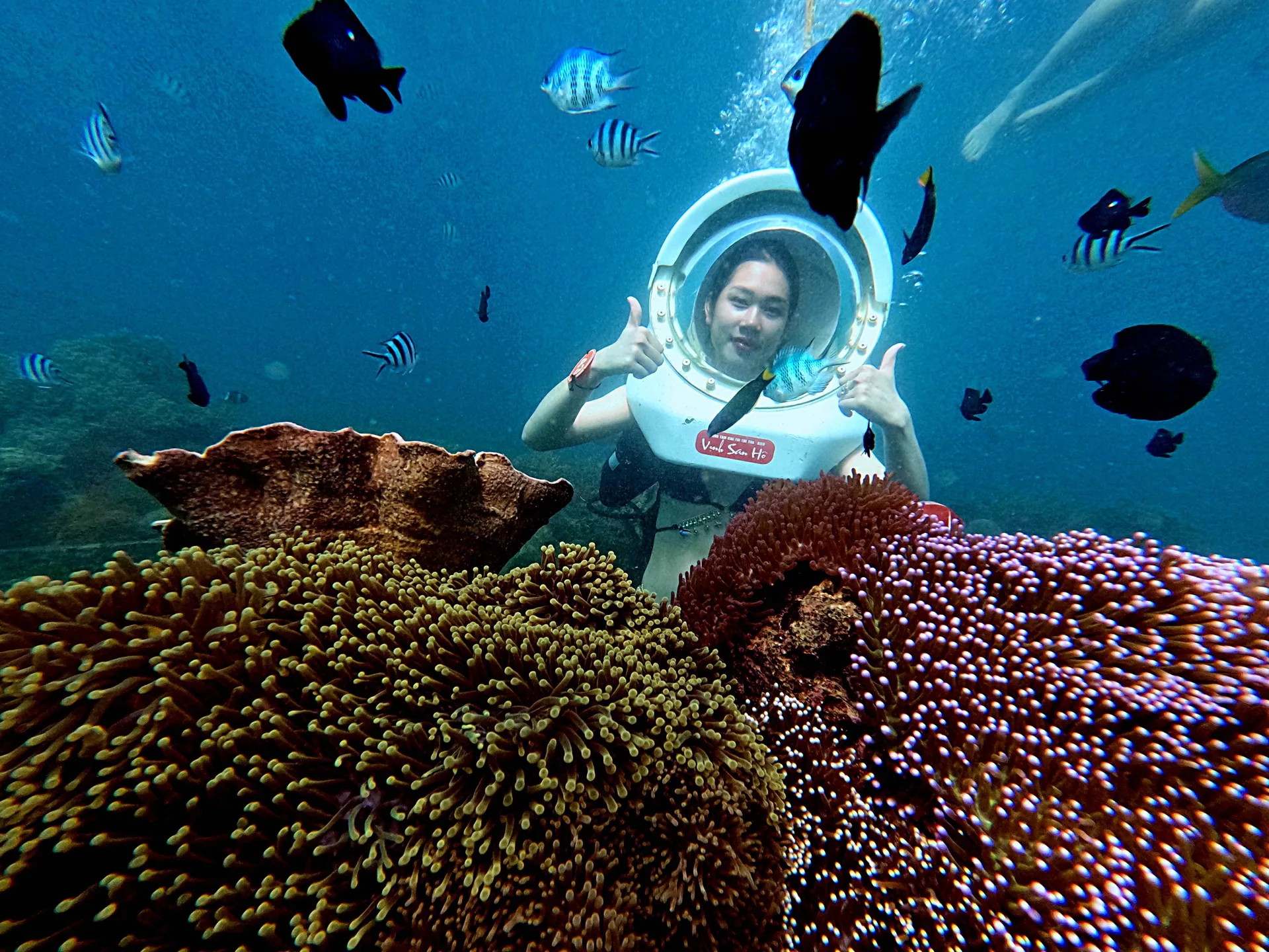 Du khách trải nghiệm Sea Walker tại Vịnh San Hô